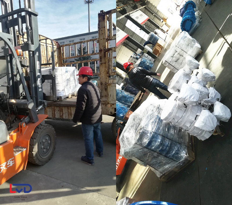 20臺手動蝸輪式軟密封法蘭蝶閥發貨河北